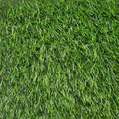 VENICE 3496 GRASS